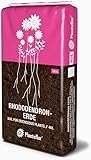 HaGaFe Plantaflor Rhododendronerde Moorbeeterde Blumenerde Erde 40 Liter (1x 40 Liter)