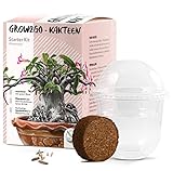 GROW2GO Kakteen Starter Kit Anzuchtset - Pflanzset aus Mini-Gewächshaus, Kaktus Samen &...