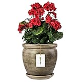 botle Blumentopf Blumenübertopf Dunkelgrau Blumenschale mit Untersetzer Rund DxH 220 mm x...