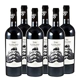 'Unio' Nero di Troia Primitivo Puglia IGT Bio Apulien Rotwein trocken (6 x 0.75l)