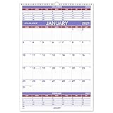 AT-A-GLANCE, Wandkalender 2021, 39,5 x 57,9 cm, groß, 3 Monate, Spiralbindung (PM62821)