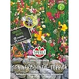 87840 Sperli Premium Blumenmischung Samen 1001 Nacht | Wildblumen Samen | Wildwiese Samen|...