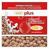 pondovit VITAL-Plus Premium Koifutter 12 kg / 6 mm Wachstumsfutter, Made in Germany