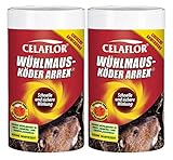 Celaflor Wühlmausköder Arrex 3479-500 g