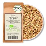 Kamelur 1kg BIO Alfalfa Sprossen Samen – Luzerne Samen BIO, Keimsaat ohne Zusätze –...