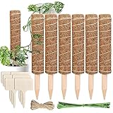 Cieex Monstera Rankhilfe, 6 Stück 30 cm Pflanzstäbe Kokos Moosstab, Moosstäbe für...
