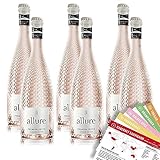 Allure Premium-Secco Rosé, halbtrocken, sortenreines Weinpaket + VINOX Winecards...